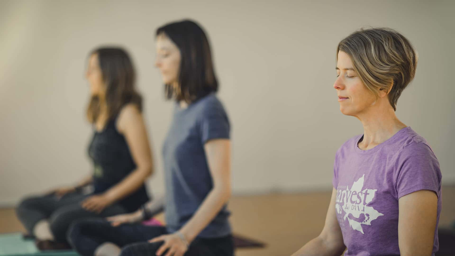 Asheville Wellness Tours: Wellness and Yoga Retreats