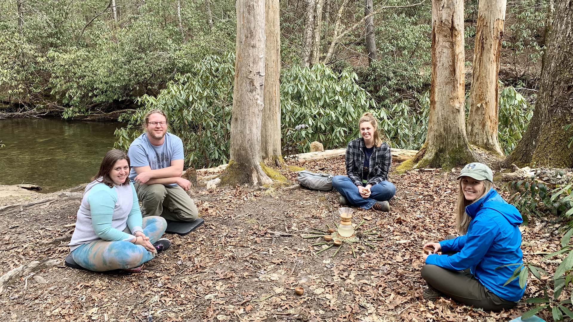 All About Forest Bathing | Asheville Wellness Tours