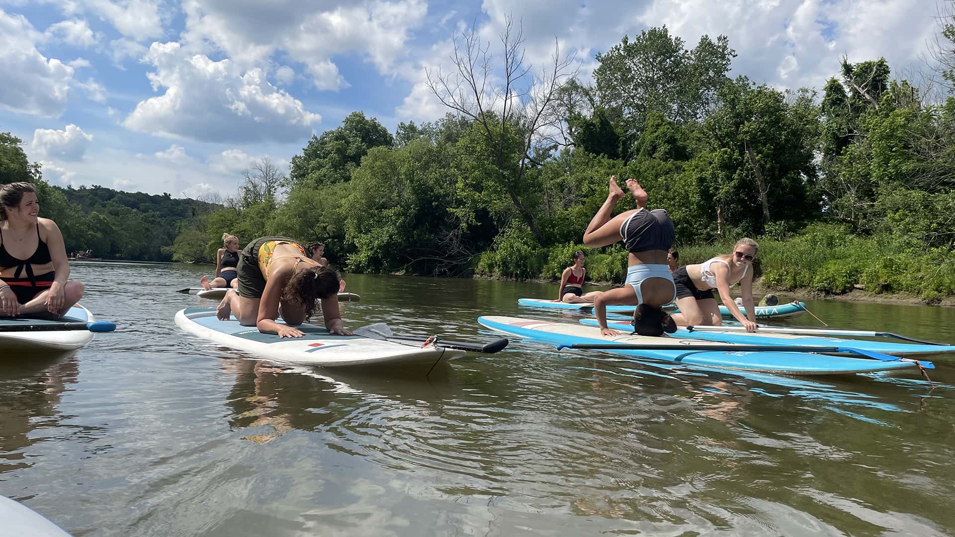 Stand up paddle board yoga class with Asheville Wellness Tours on the French Broad River.