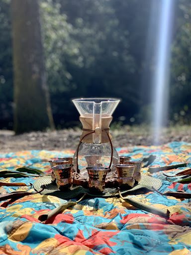 Asheville Wellness