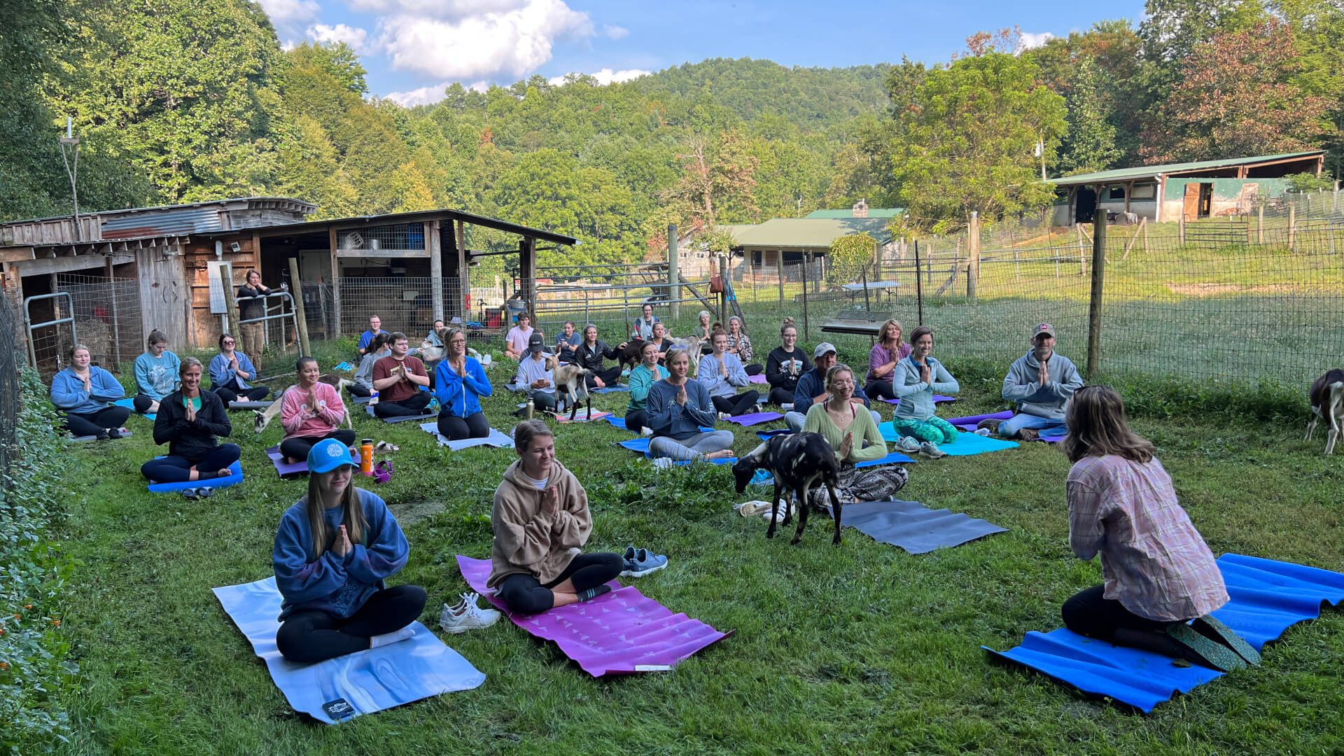 Outdoor goat yoga session at a farm outside Asheville, North Carolina.