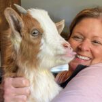 Goat kiss at goat yoga session.