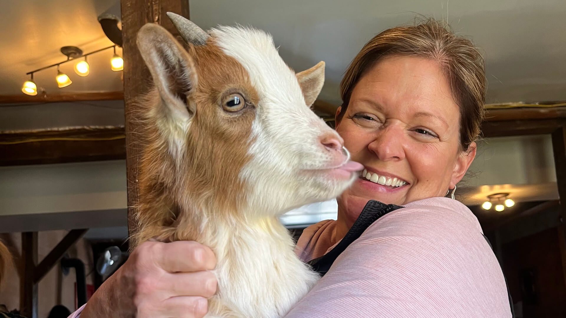 Goat kiss at goat yoga session.