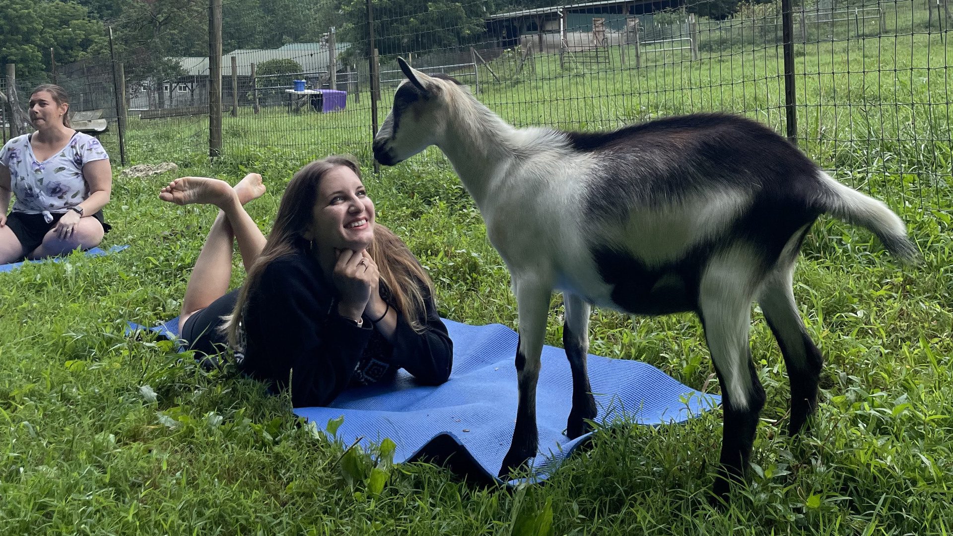 Young woman smiles at goat on yoga matt at goat yoga bachelorette party in Asheville, NC.