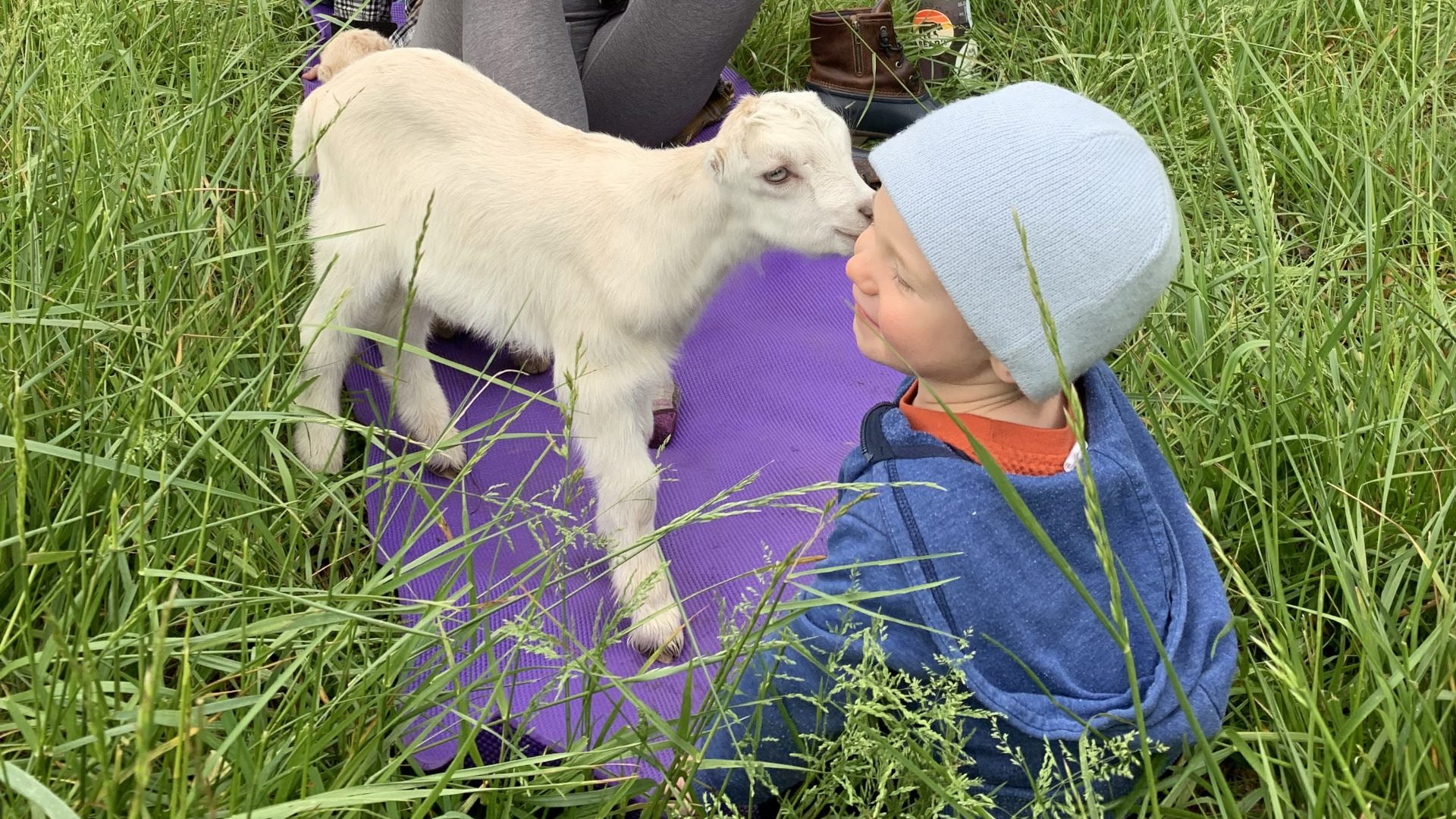 Baby goat kisses young boy at goat yoga.
