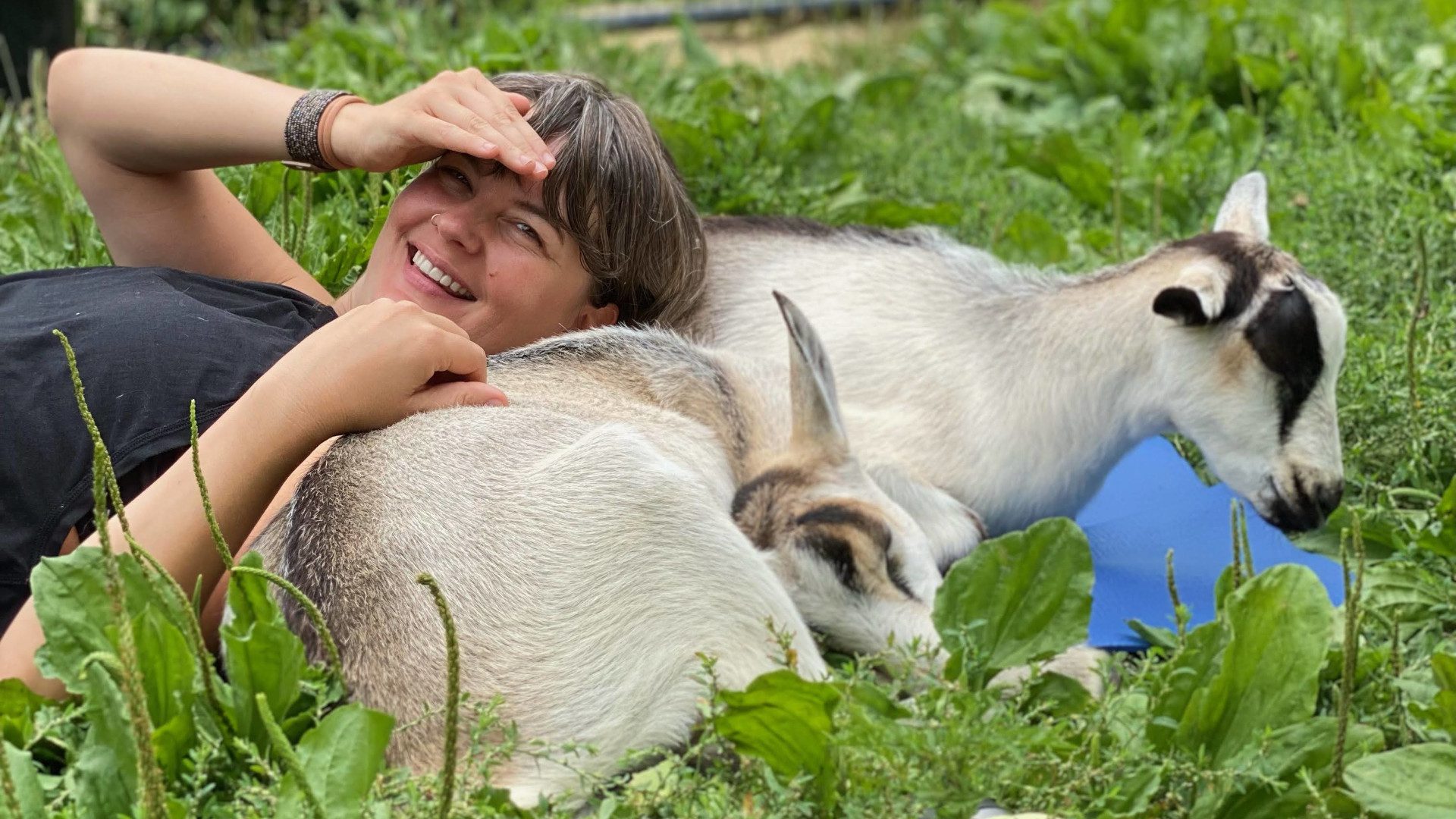 Woman relaxes head on two goats in field after goat yoga class.