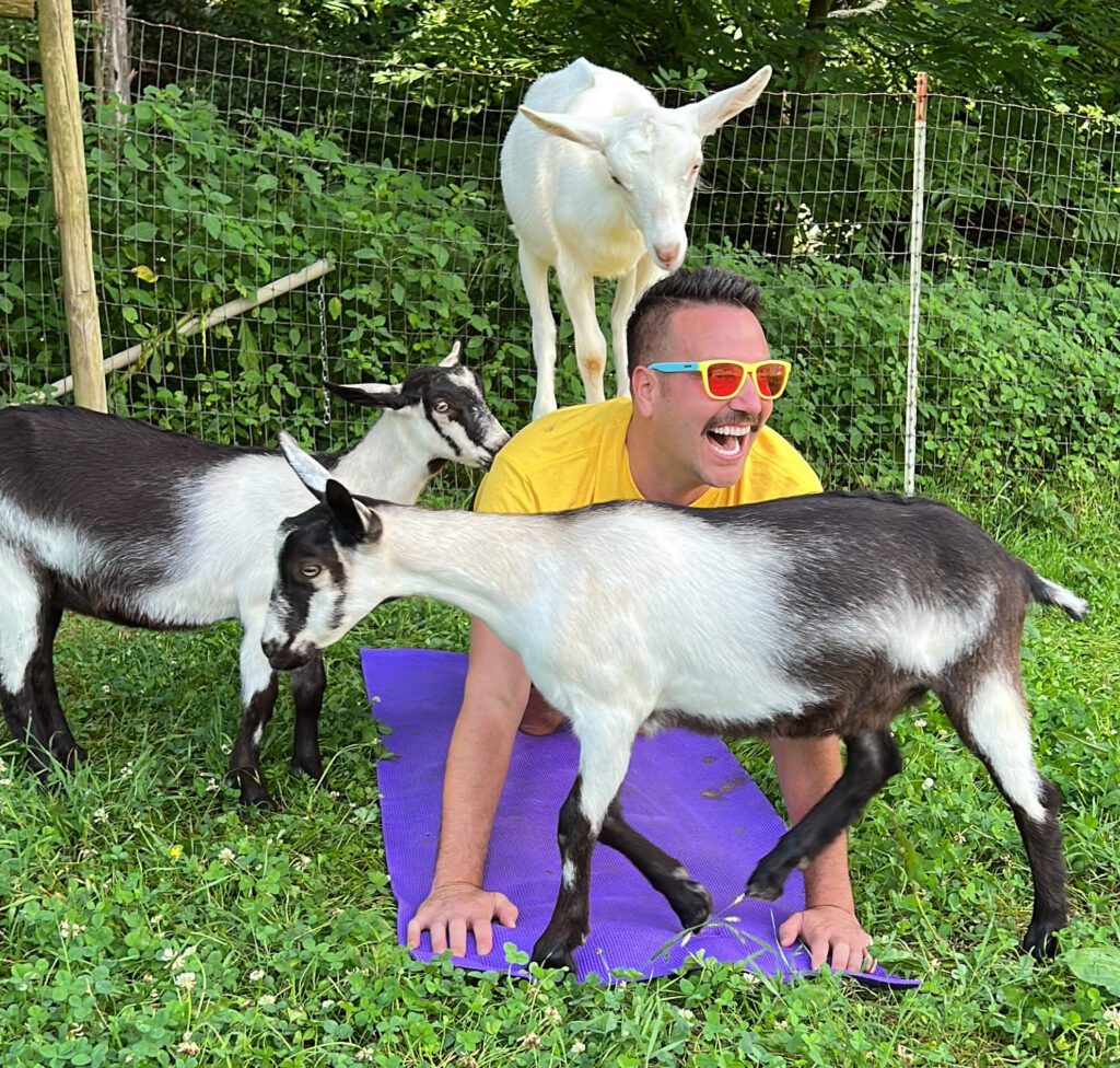 Having fun with goat yoga.