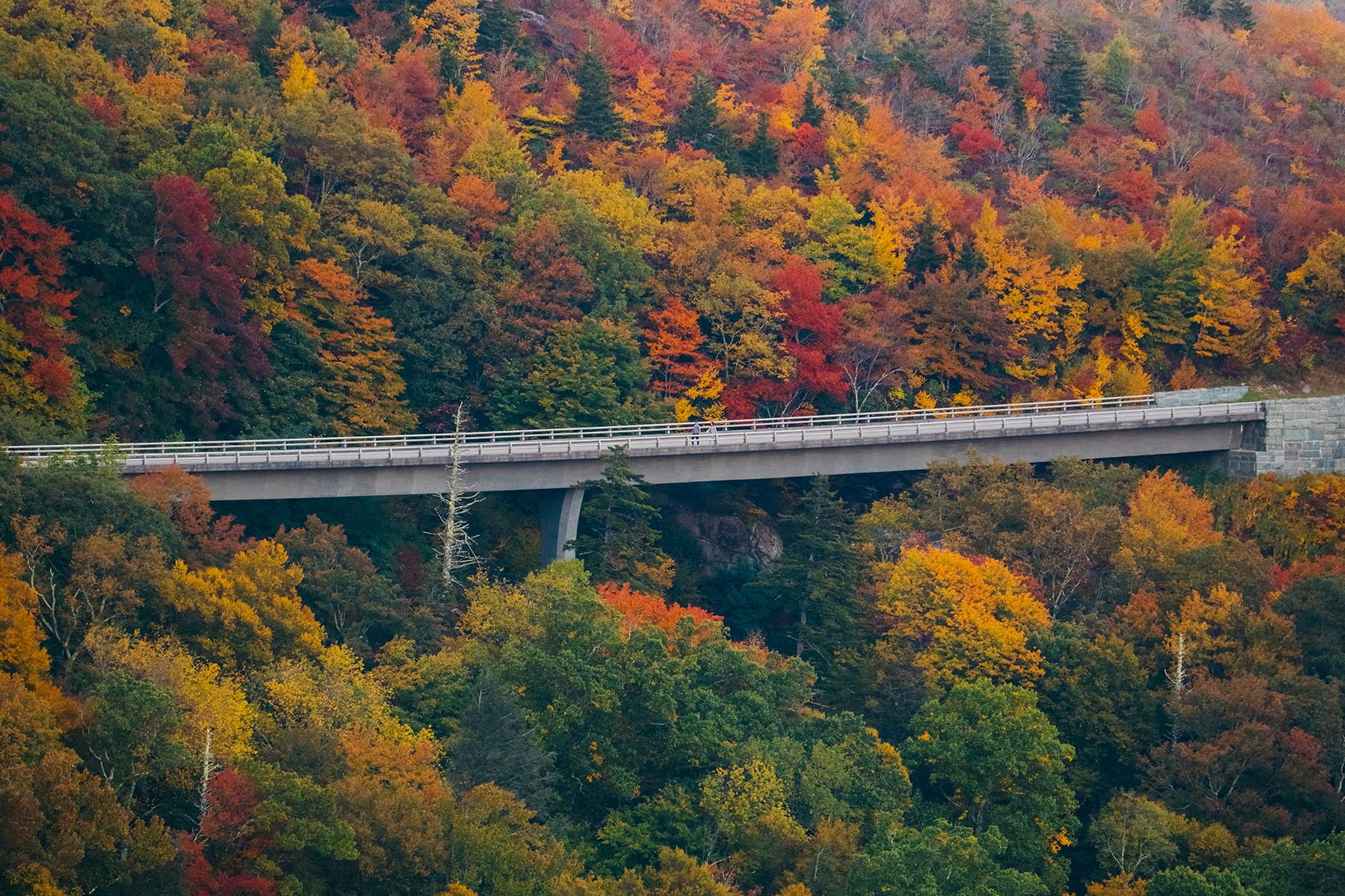 Blue Ridge Parkway in autumn