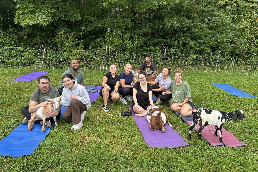 Fall goat yoga
